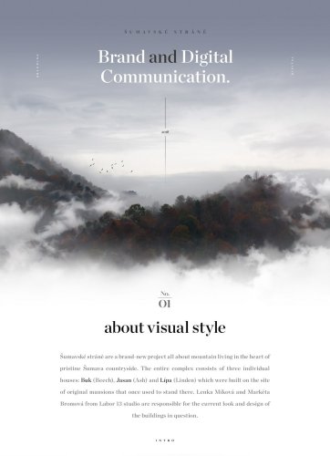Web Designs